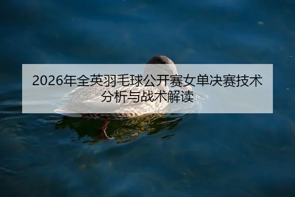 nian-quan-ying-yu-mao-qiu-gong-kai-sai-nv-dan-jue-sai-ji-shu-fen-xi-yu-zhan-shu-jie-du-2-800.jpg