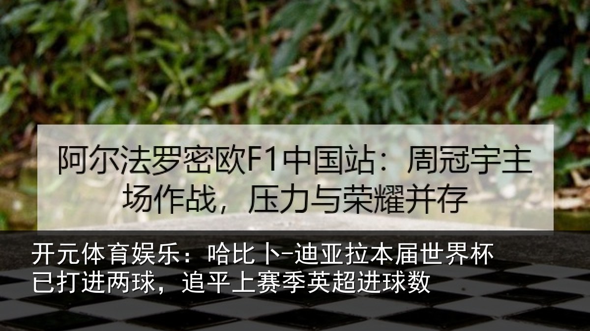 开元体育娱乐:哈比相关情况杯已相关情况季英超进球数