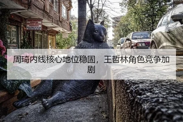 周琦内线核心地位稳固，王哲林角色竞争加剧