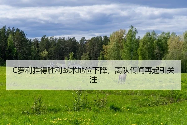 C罗利雅得胜利战术地位下降，离队传闻再起引关注