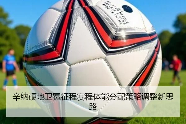 xin-na-ying-di-wei-mian-zheng-cheng-sai-cheng-ti-neng-fen-pei-ce-lve-tiao-zheng-xin-si-lu-2-381.jpg