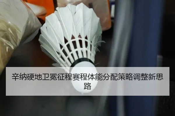 xin-na-ying-di-wei-mian-zheng-cheng-sai-cheng-ti-neng-fen-pei-ce-lve-tiao-zheng-xin-si-lu-3-503.jpg