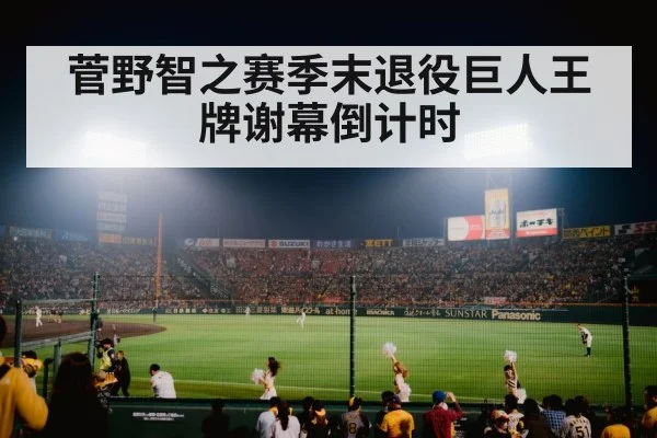 baseball stadium night