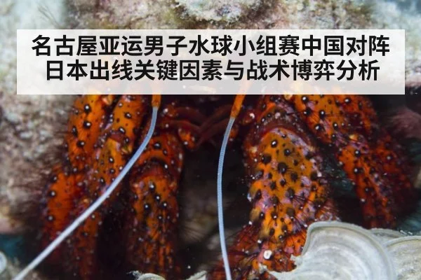 名古屋亚运男子水球小组赛中国对阵日本出线关键因素与战术博弈分析