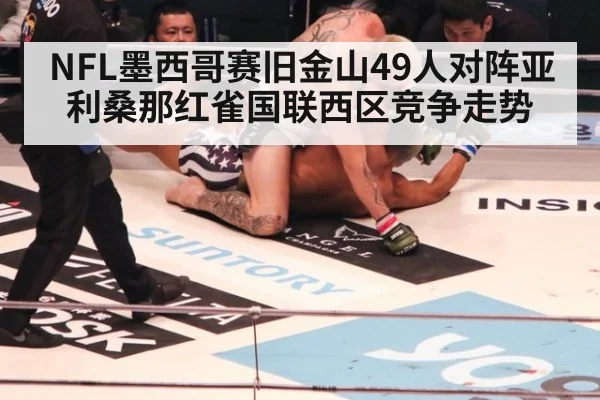 NFL墨西哥赛旧金山49人对阵亚利桑那红雀国联西区竞争走势